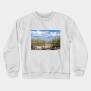 Light Green Grasses and Clouds! Crewneck Sweatshirt